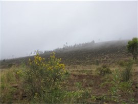 Another view of the Loma